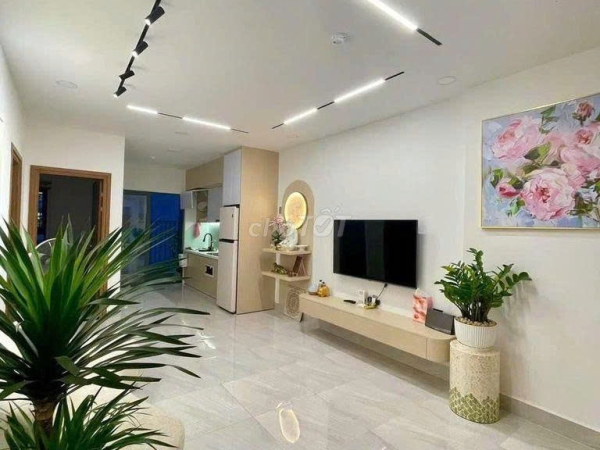 Gallery-6